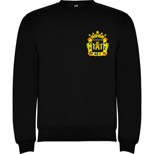 Sudadera SD Sarriana